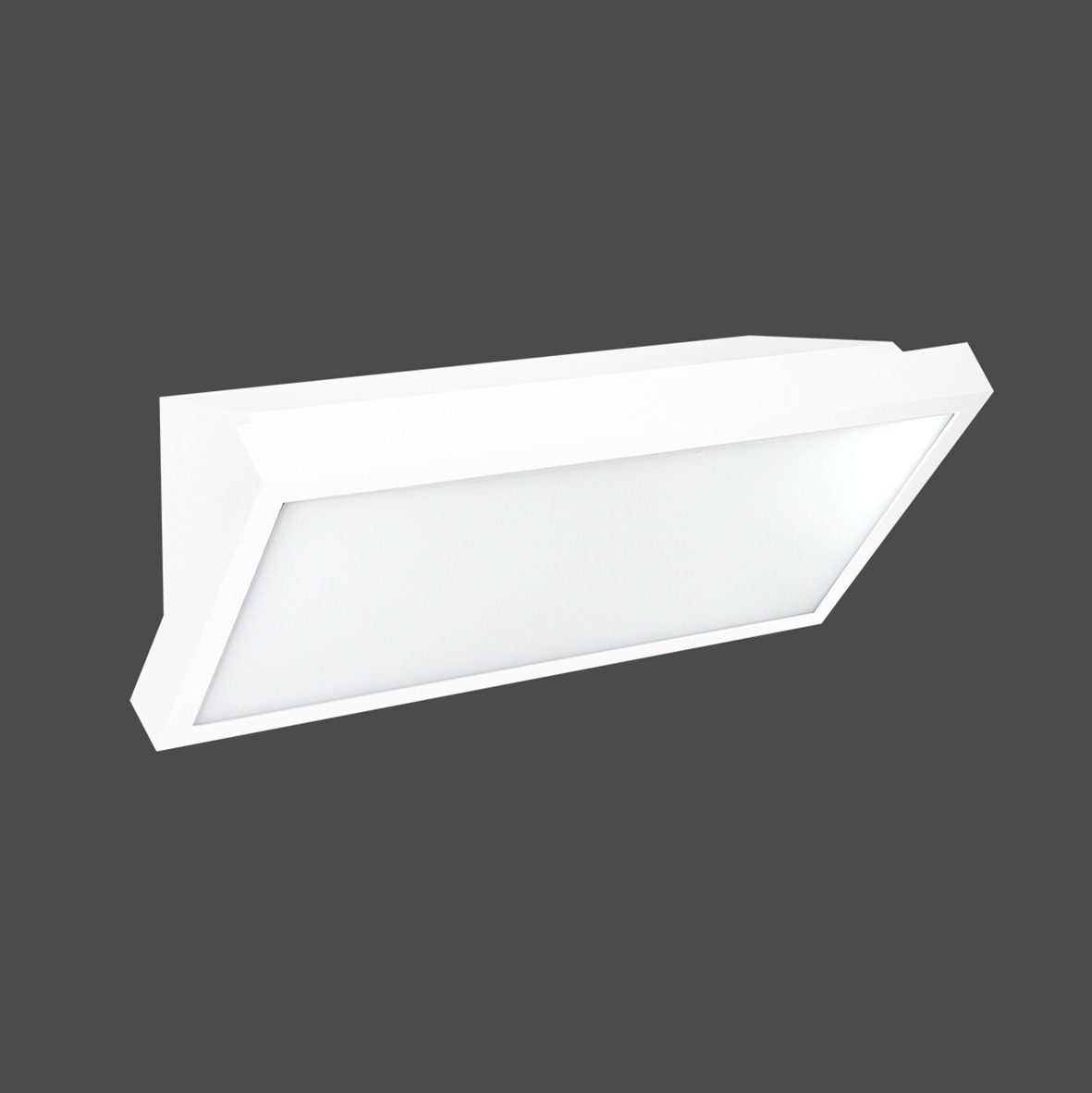 Applique a parete 24w LED Bianca 220V IP65 per Esterno Switch 3000k-4200k-6400k