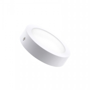 12w LÃ¡mpara de techo de techo de pared LED Round Pared 17cm LÃ¡mpara Blanca